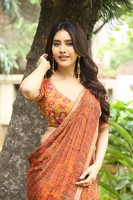 Nabha Natesh Interview Stills